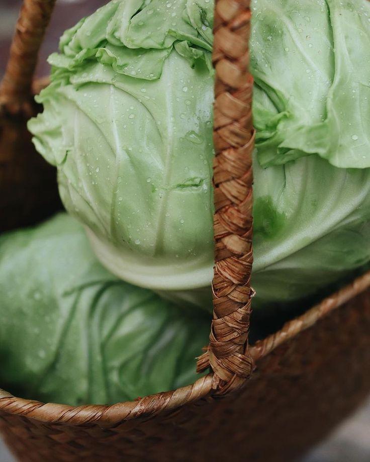 Root & Leaf Ensemble: Earth's Natural Delights